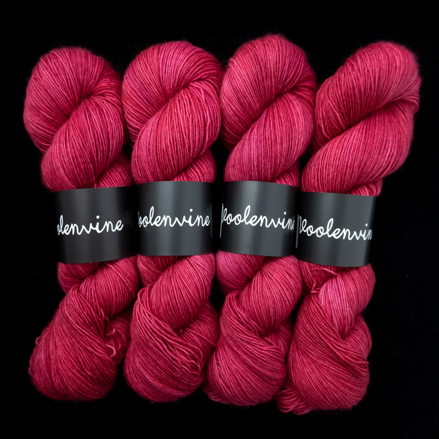 Rose Caliente | NOUVEAU