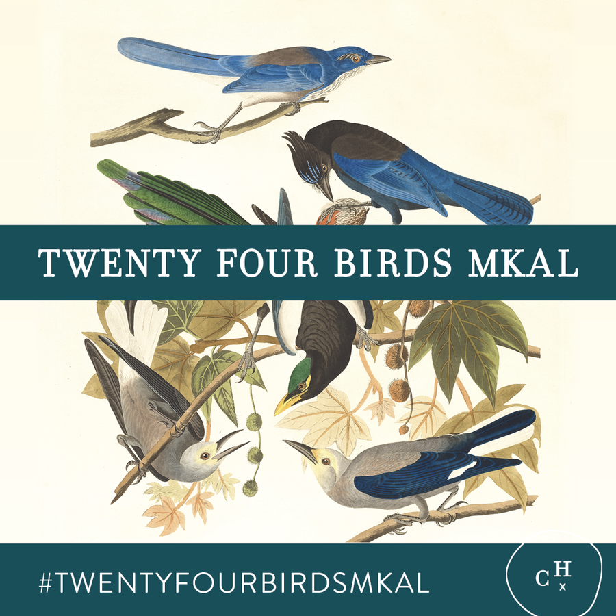 Twenty-Four Birds MKAL Kit (Quill), NOUVEAU